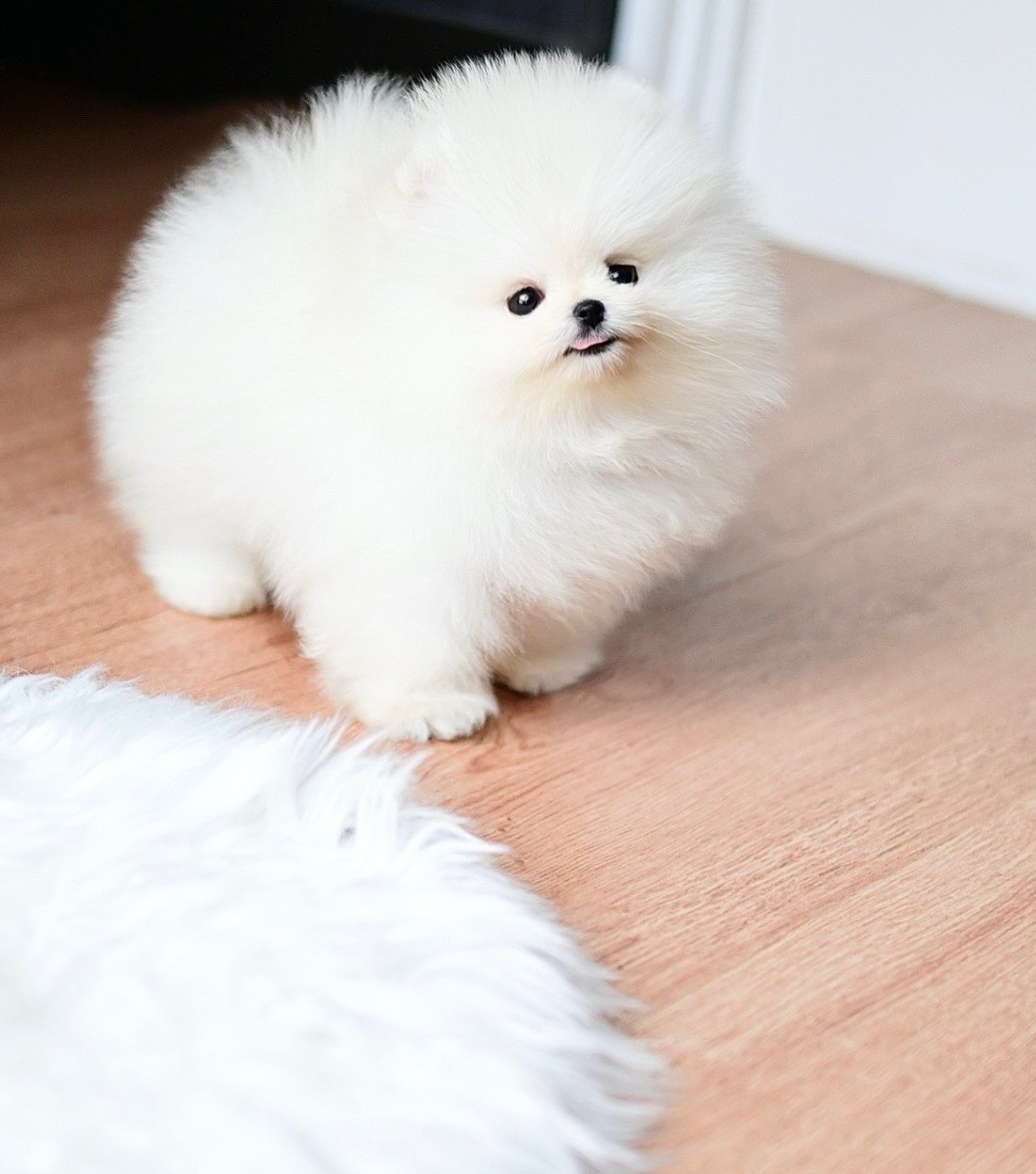 ย้ายบ้านแล้ว