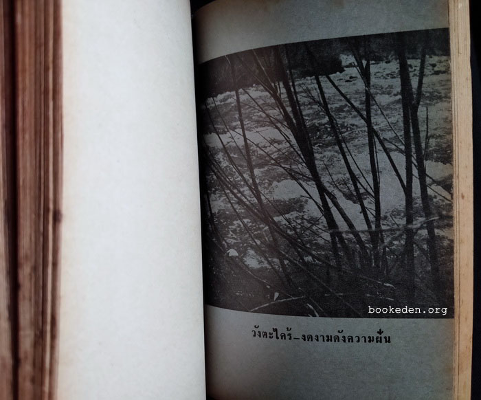 เสเพลบอยบันทึก