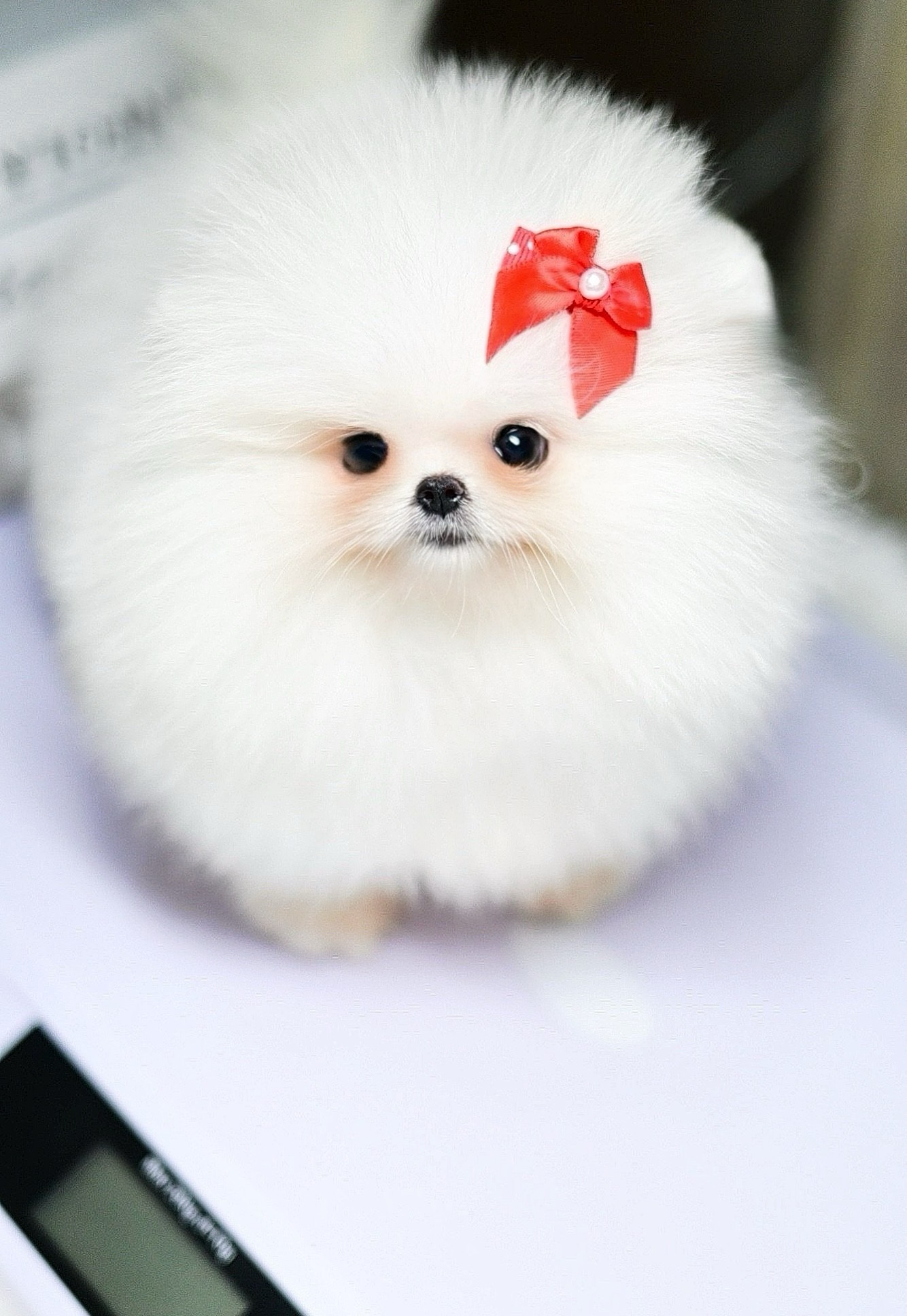 ย้ายบ้านแล้ว