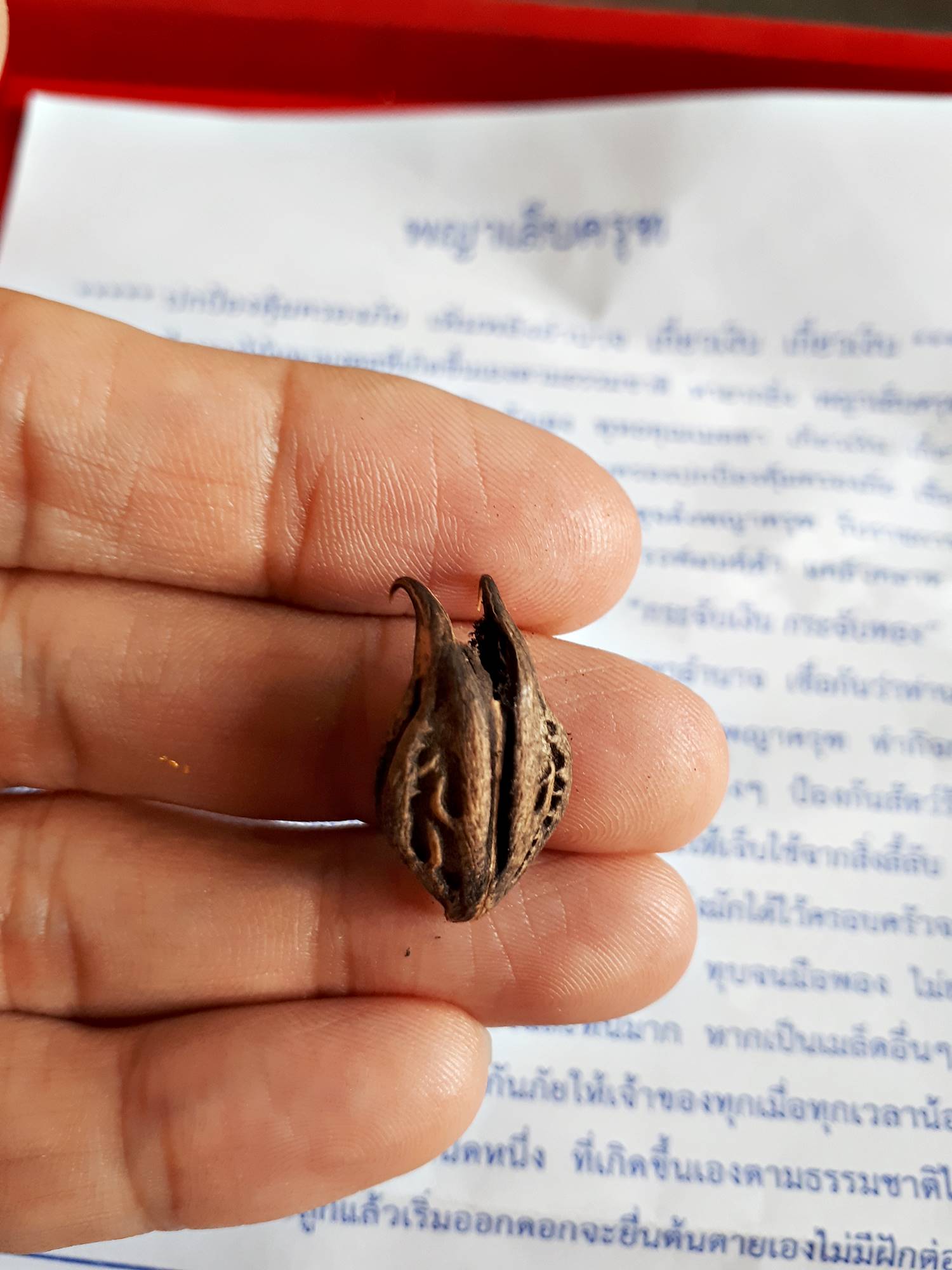 เล็บครุฑ วัตถุมงคลเครื่องราง