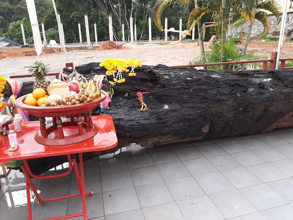 แม่นางตะเคียน(แม่นางมั่น) เนื้อผงมวลสารผสมเนื้อไม้ตะเคียนแท้ ฝั่งตะกรุด2ดอก #ปลุกเสกแล้ว #รับประกันแท้