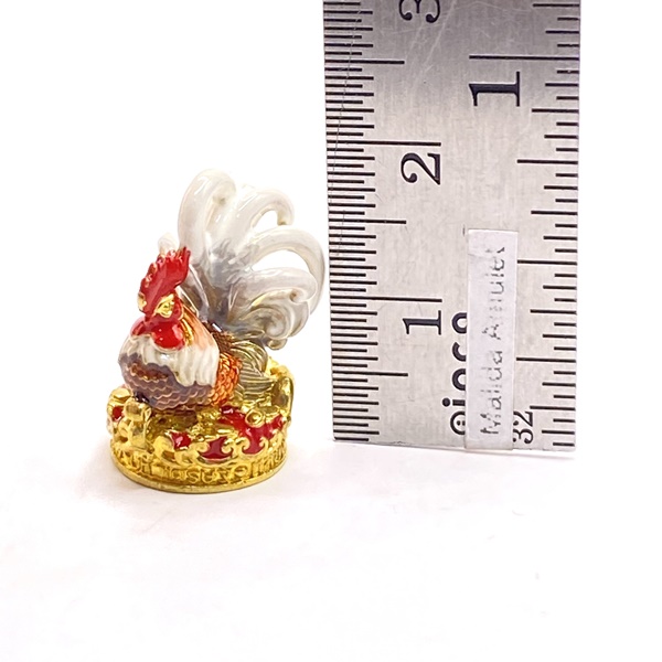 ไก่ฟ้าพญาเลี้ยง ไก่ฟ้ามหาเศรษฐี (เนื้อทองทิพย์ลงยาสีอีนาเมลหางขาว) หลวงตาน้อย สำนักสงฆ์ป่าปวงตึก หลวงปู่ศิลา (หลวงปู่มหาศิลา)