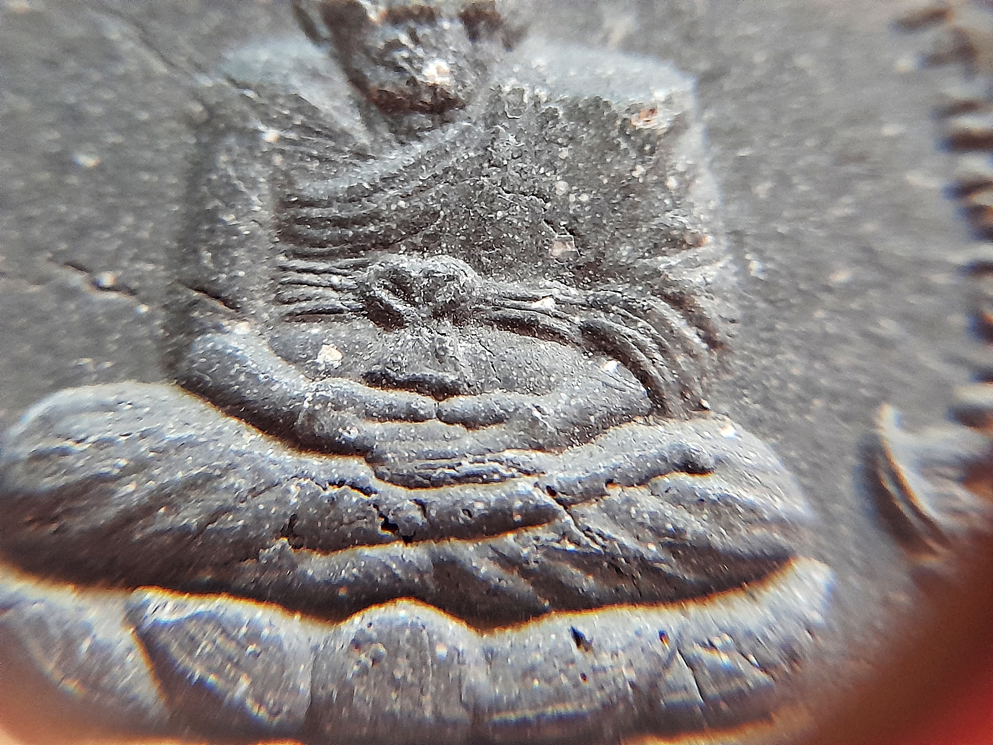 เหรียญ หลวงปู่ทวด หลัง พระอาจารย์สุริยัณ นั่งเต็มองค์ในจักรแก้ว ล้อมจักร แปดเหลี่ยม (ความมงคลป้องกันภัยทั้งแปดทิศ) เนื้อว่านกากยา #รับประกันแท้ - พระอาจารย์สุริยัณ วัดป่าฉัพพรรณรังสี จ.ชัยภูมิ