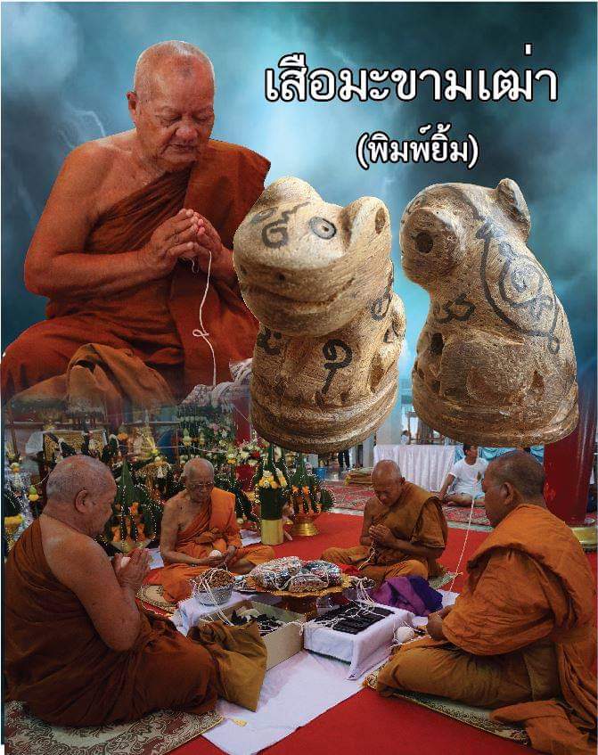 เสือมหากระดอน (ไม้ข่ามเฒ่า) (พิมพ์ยิ้ม) ปี2561 วัดปากคลองมะข่ามเฒ่า จ.ชัยนาท - (ปลุกเสกในสายหลวงปู่ศุข)