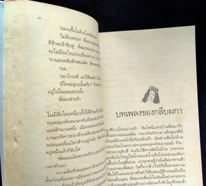 สนิมสร้อย