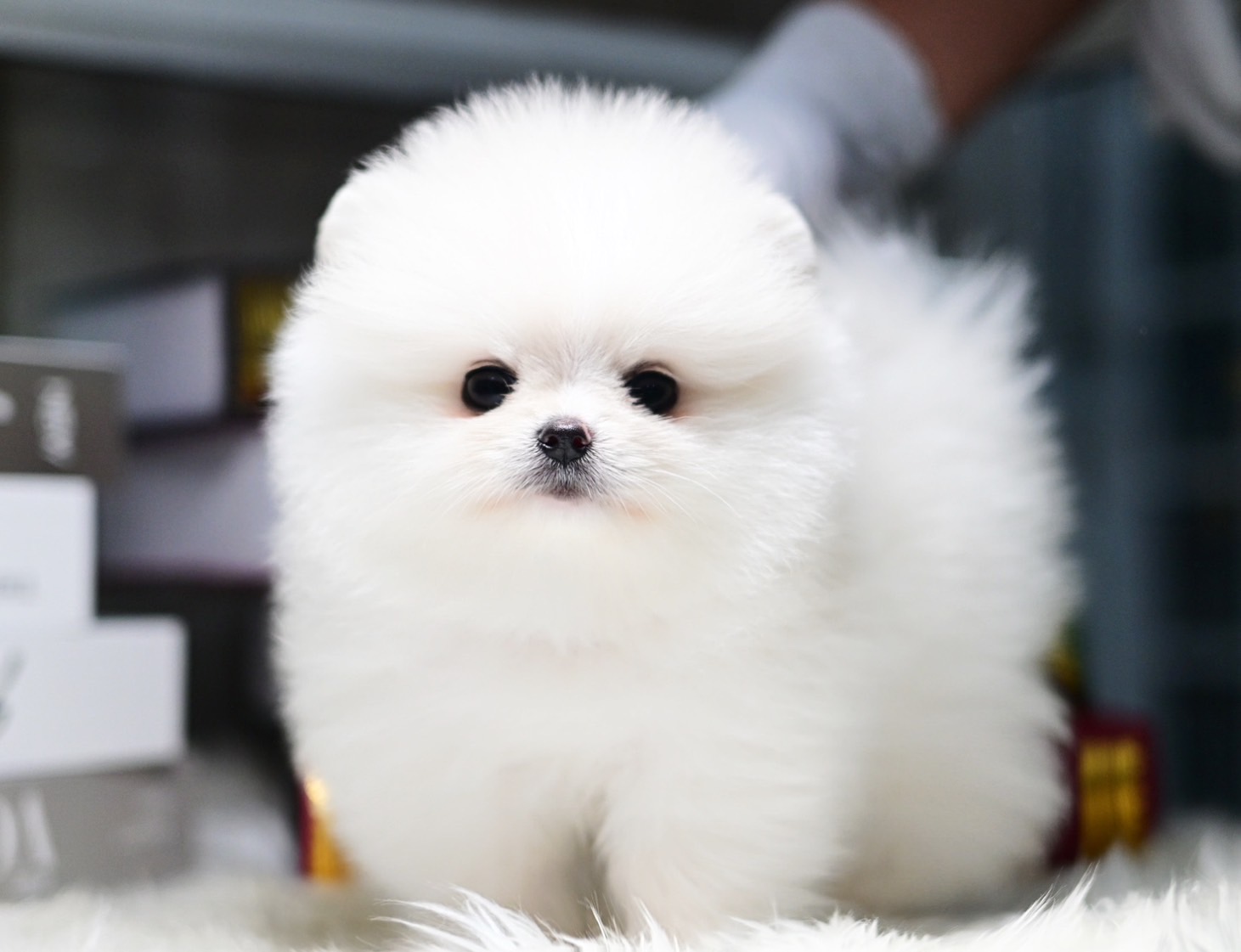 ย้ายบ้านแล้ว