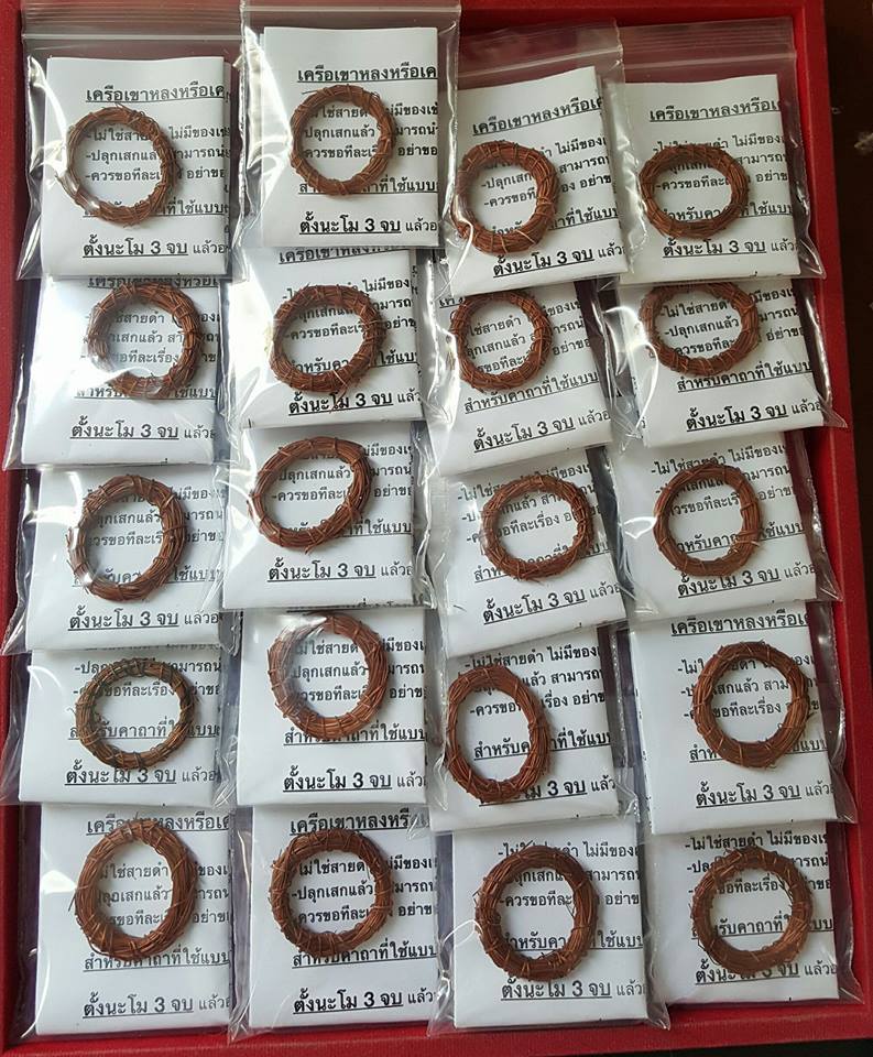 เครือสาวหลง