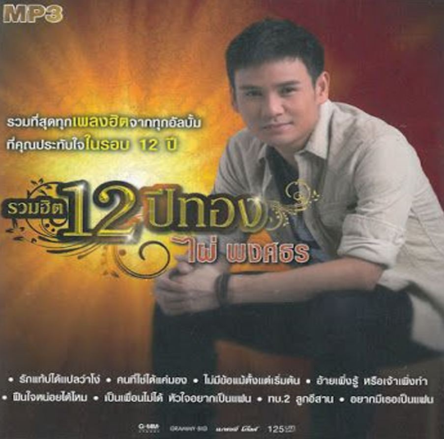 รวมฮิต 12 ปีทอง ไผ่ พงศธร ( 1 CD )