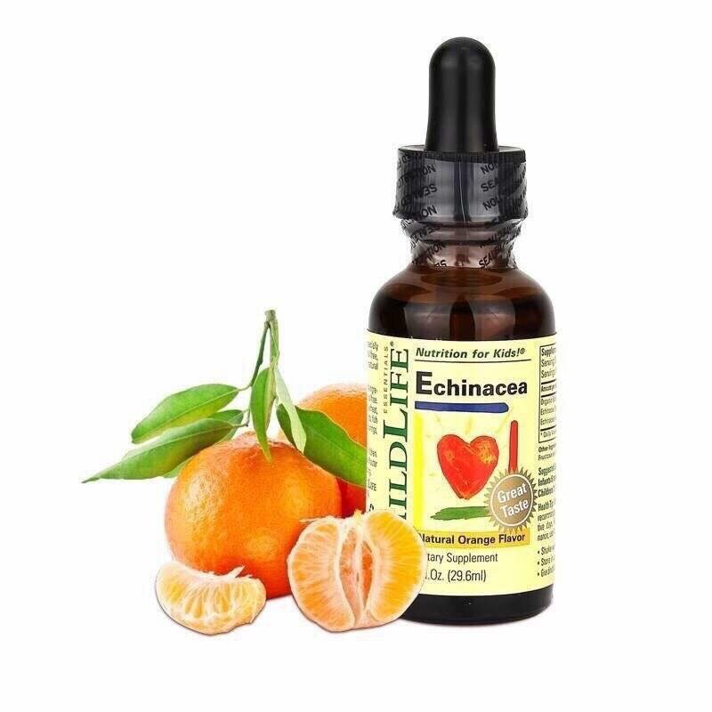 วิตามินเสริมสร้างภูมิคุ้มกันสำหรับเด็ก ChildLife Essentials Echinacea Dietary Supplement - Natural Orange Flavor
