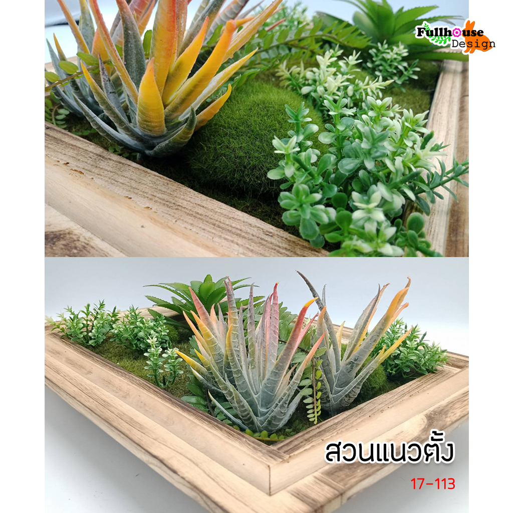 สวนแนวตั้ง กรอบไม้ ลายที่ 2