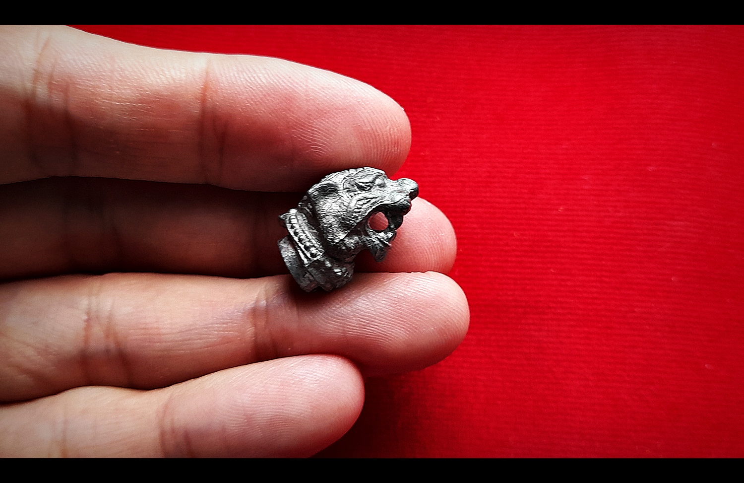 หัวเสือ เนื้อรวมแร่ อุดเทียนชัยและแร่บังบด เสาร์๕ ปี2563 - หลวงพ่อหนุน วัดพุทธโมกข์