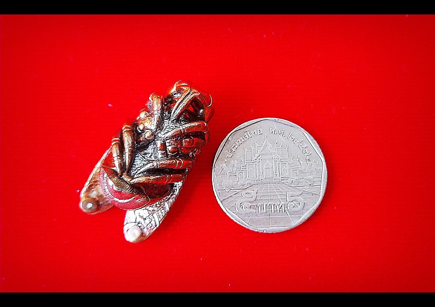 พญาแมลงภู่คำ กายสิทธิ์(สีเหลือบรุ้ง) เนื้อโลหะธาตุกายสิทธิ์ เหล็กไหลสุริยันราชา ผสมชนวนเนื้อเงินมหาสะท้อน ก้นบรรจุปรอทตามตำรา ปี2564 (ปลุกเสก16พิธี มหาโสฬสมหามงคล) #รับประกันแท้