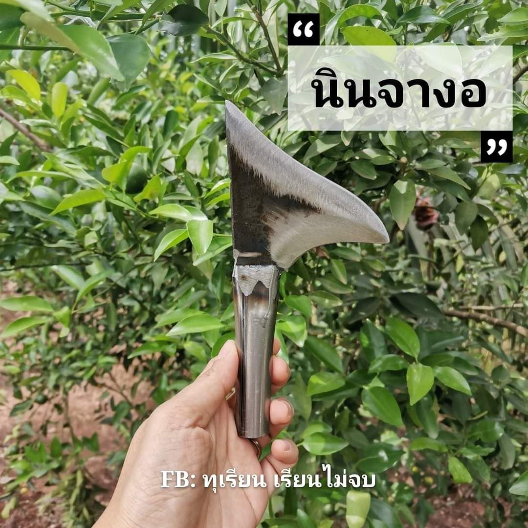 มีดแต่งแขนงสำหรับทุเรียน ตราค้างคาว ใช้สำหรับแต่งกิ่งแขนวง หรือแต่งดอกทุเรียน มีหลายแบบโปรดกดเลือก