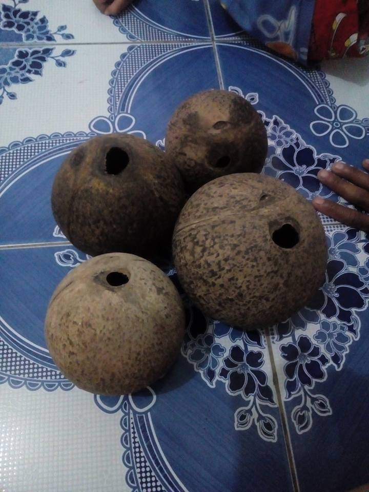 กะลาตาเดียว