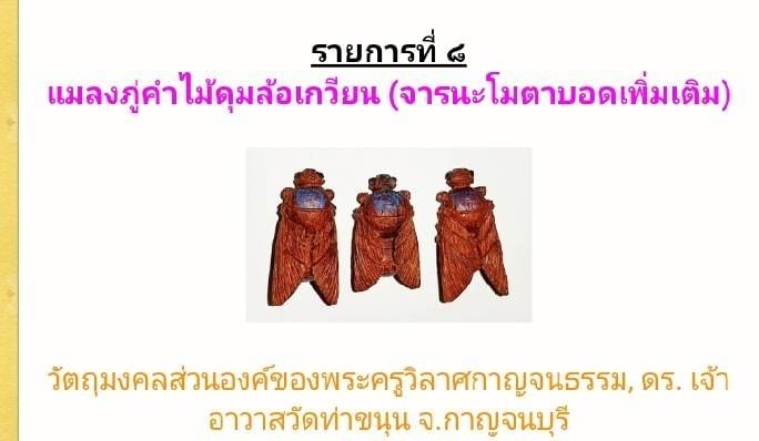 แมลงภู่ (ตัวผู้ #หัวหน้าจ่าฝูงบิน) #บรรจุเข็มปรอทป่า เนื้อไม้ดุมล้อเกวียน (พิเศษ จารยันต์ #นะโมตาบอด) #รับประกันแท้ ปี2564 - หลวงพ่อเล็ก วัดท่าขนุน