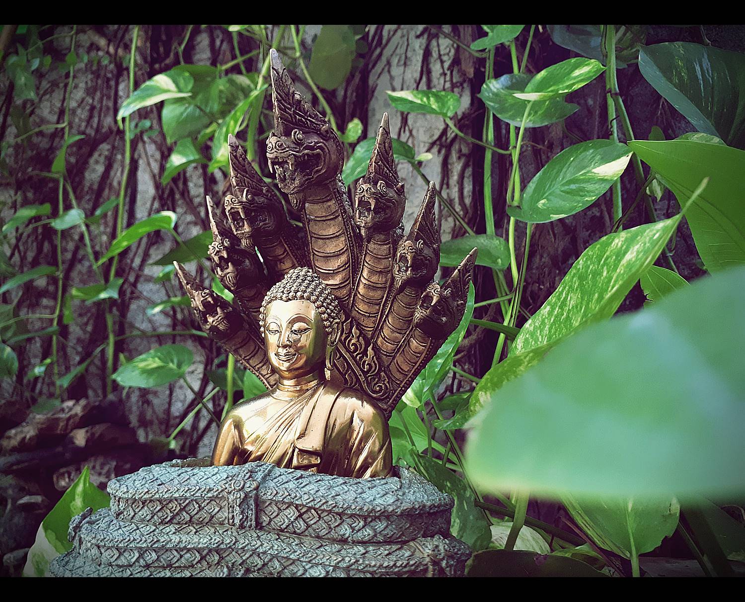 รูปหล่อ พระพุทธเจ้า ปางพระนาคปรก (พญานาค7หัว) เนื้อทองเหลือง ปี2562 (พระหน้าตัก5นิ้ว ฐาน7นิ้ว สูง8นิ้ว) #รับประกันแท้