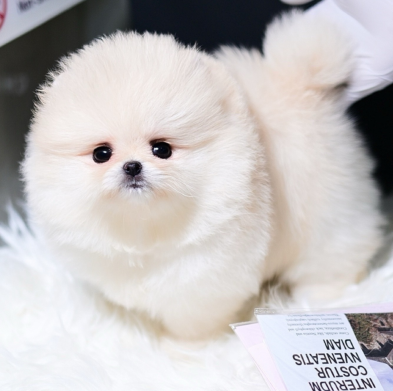 ย้ายบ้านแล้ว