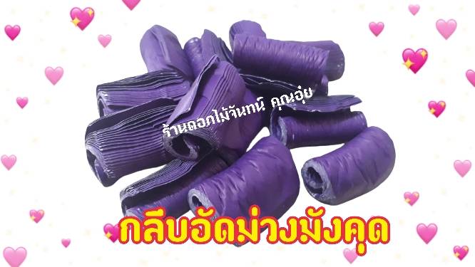 กลีบอัด สีม่วงมังคุด กลีบดอกไม้จัน ดอกไม้จัน กลีบอัดดอกไม้จันทน์ กลีบอัดย่น ดอกไม้จันทร์ ดอกไม้จันทน์ กระดาษอัดดอกไม้จัน