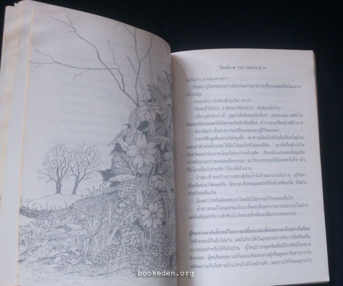 ปีนตลิ่ง