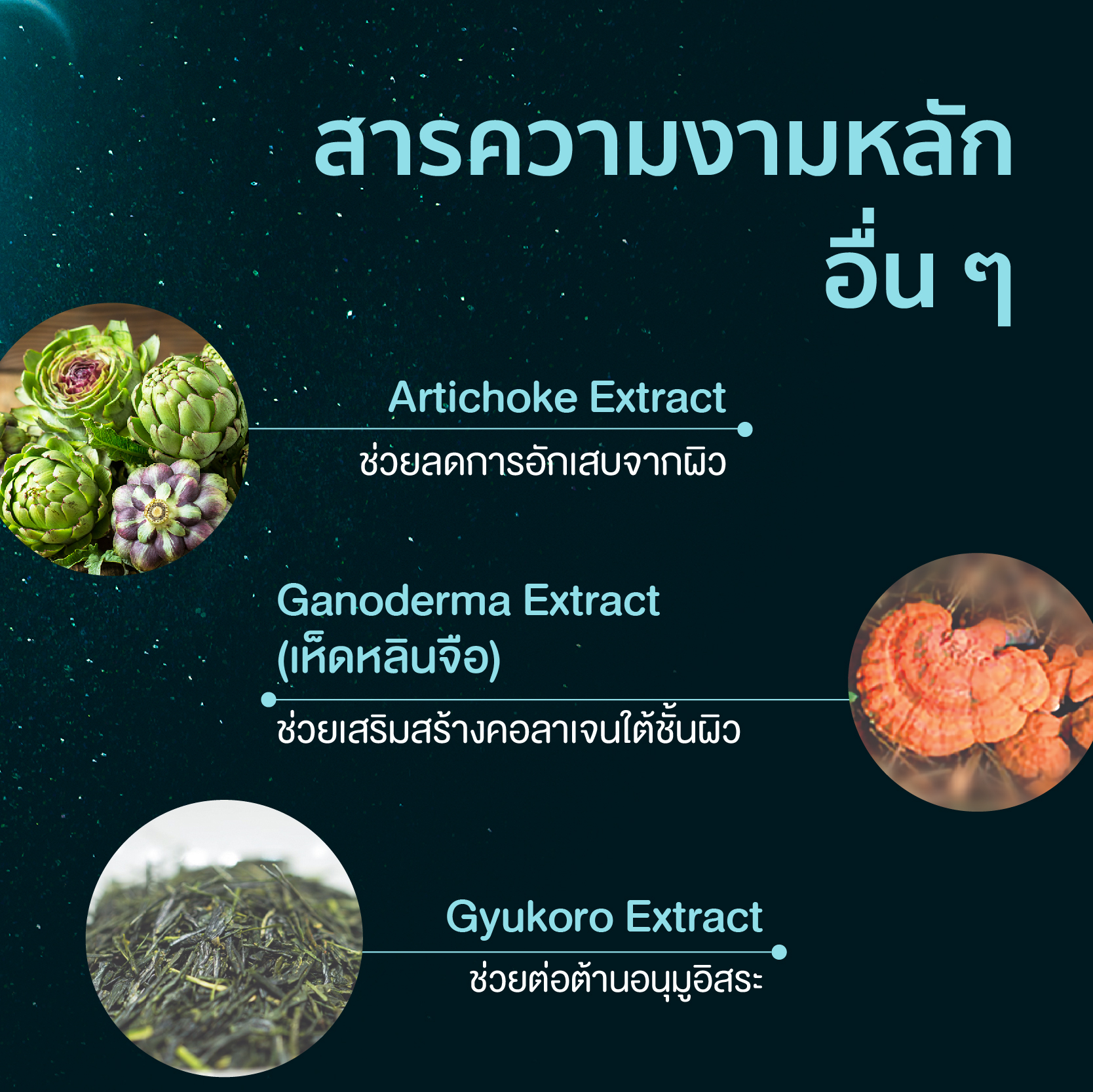 Kose Infinity Unlimited Key Revitalizing 50mL ใหม่ล่าสุด เซรั่มต่อต้านริ้วรอยแห่งวัยจากโคเซ่ สุดยอดเซรั่มล็อคผิวอ่อนเยาว์ ผสาน 2 แคปซูลสุดล้ำช่วยปกป้องและฟื้นฟูผิวล้ำลึกถึงระดับ DNA เผยผลลัพธ์ผิวกระชับแลดูเปล่งปลั่งมีชีวิตชีวา