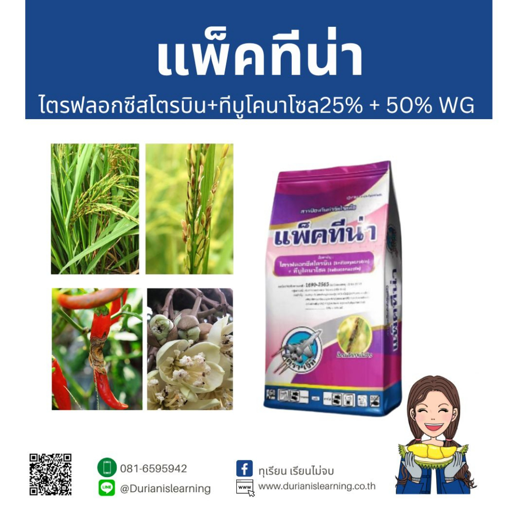 แพ็คทีน่า ไตรฟลอกซีสโตรบิน (trifloxystrobin)+ ทีบูโคนาโซล (tebuconazole) 25%+50% WG #11+3 (250 กรัม)