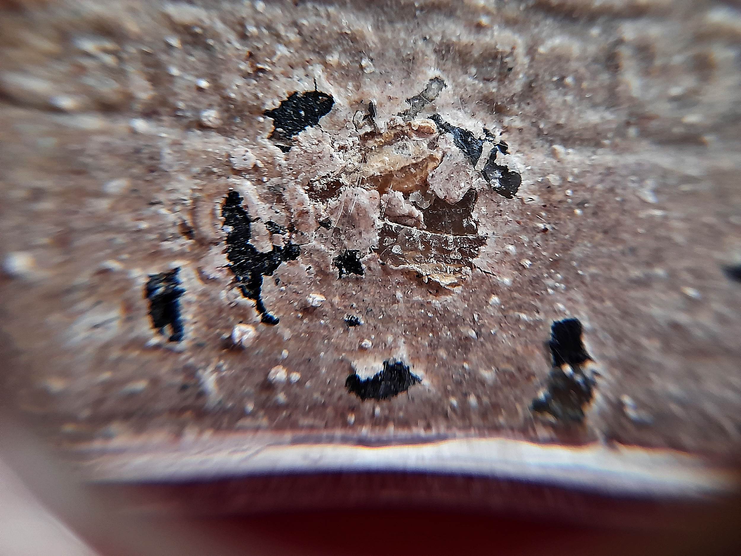 พระสมเด็จ หลวงพ่อยี วัดดงตาก้อนทอง จ.พิษณุโลก (ลูกบุญธรรมหลวงปู่เทพโลกอุดร) เนื้อผง ฝั่ง ข้าวทิพย์ + ข้าวเปลือก + ไพรดำ ปี2548 #รับประกันแท้ - (หลวงพ่อถาวร วัดปทุม จัดสร้างย้อนยุค)