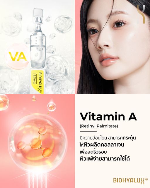 (1 กล่อง 30 Ampoule) Biohyalux HA Antioxidant Renewal Serum 1.5mL x 30 Ampoule เซรั่ม Hya ที่ช่วยเรื่องผิวเด้ง เต่งตึง ได้ดีม๊ากๆ ช่วยชะลอวัย แถมช่วยต่อต้านอนุมูลอิสระ ทำให้ผิวเราดูแข็งแรง และดูกระจ่างใส น้องยังช่วยเรื่องลดริ้วรอยให้ดูตื้นขึ้น ลดการระคายเ