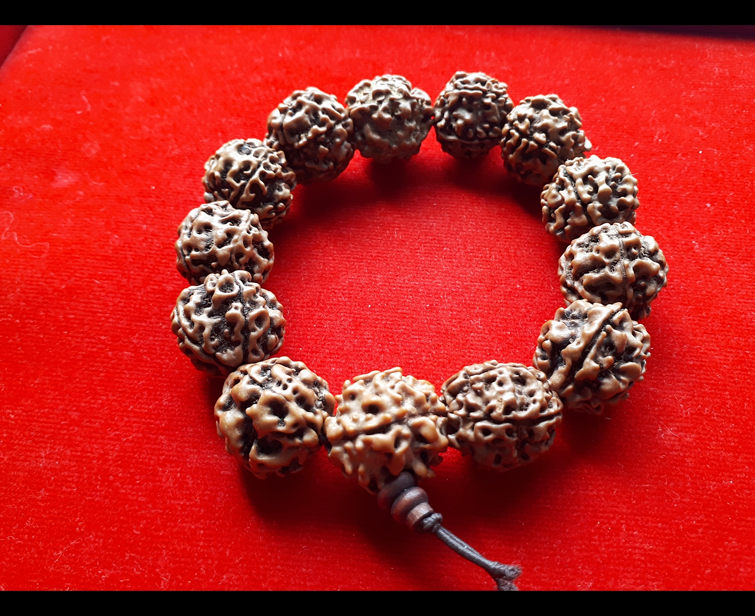 สร้อยข้อมือ ประคํา น้ำตาพระศิวะ เมล็ดรุทรักษะ ของแท้นำเข้าจาก อินเดีย (ขายปลีก ขายส่ง)