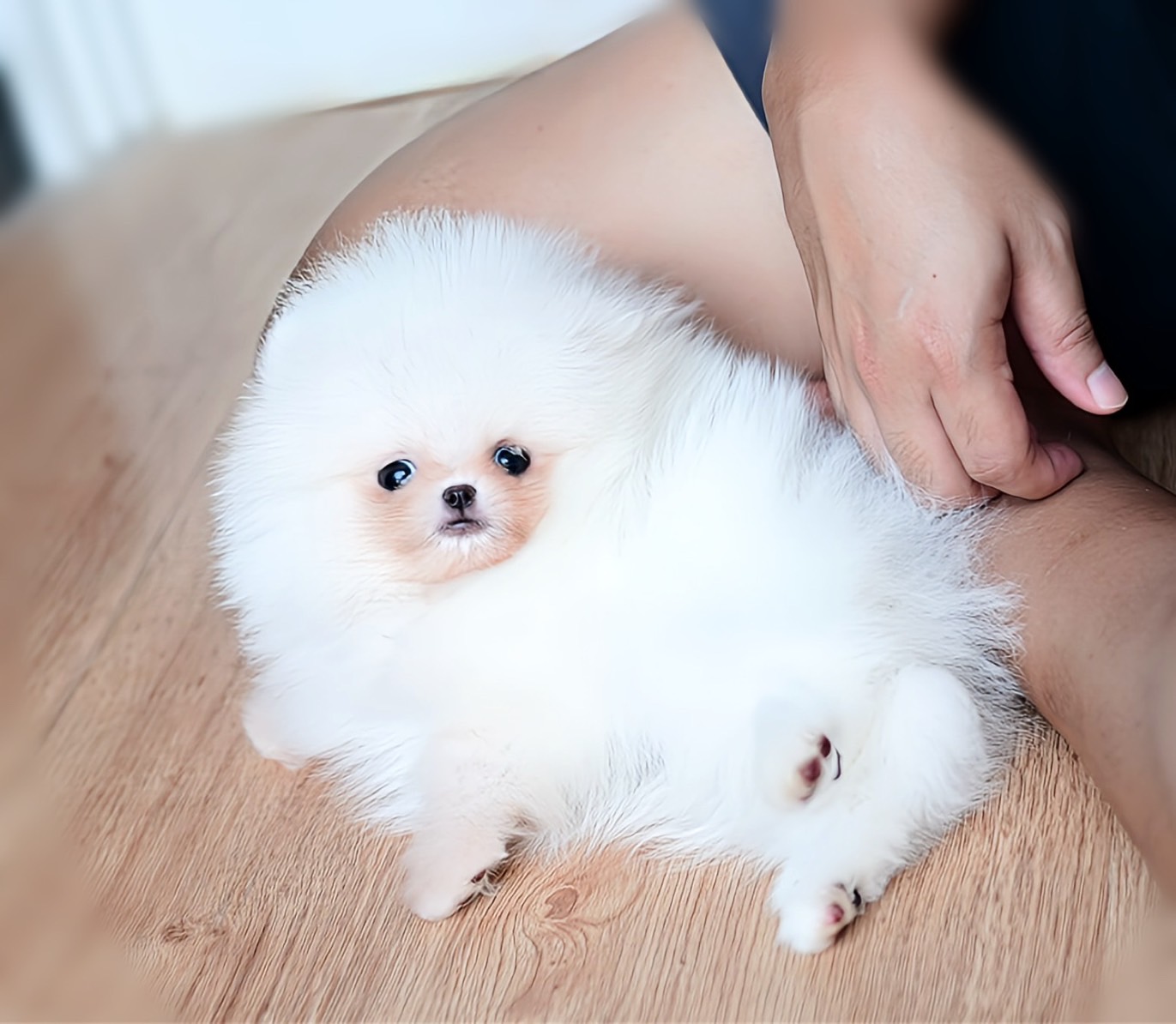 ย้ายบ้านแล้ว