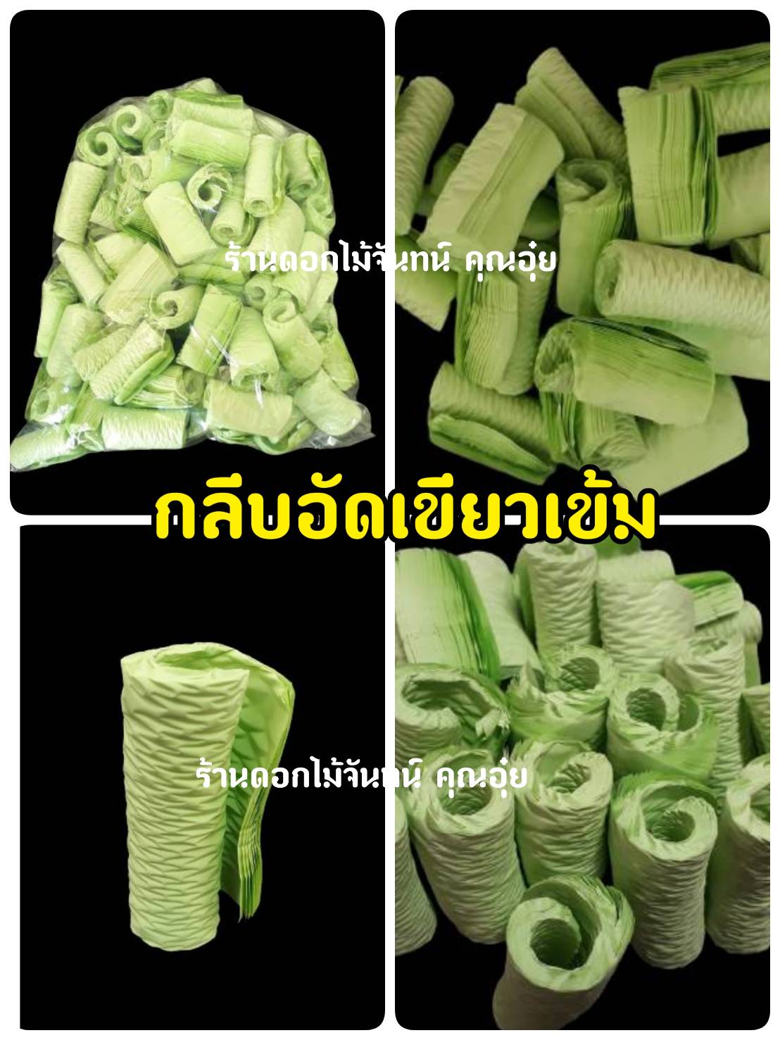 กลีบอัดสีเขียวเข้ม กลีบอัดดอกไม้จันทน์ กลีบอัดย่น กระดาษหนา 55 แกรม