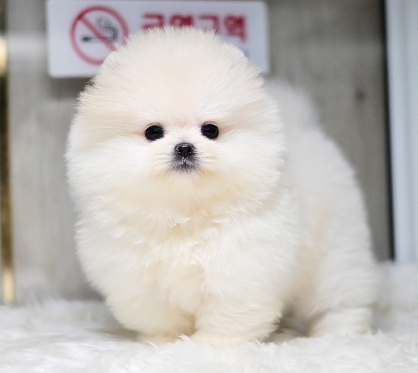 ย้ายบ้านแล้ว