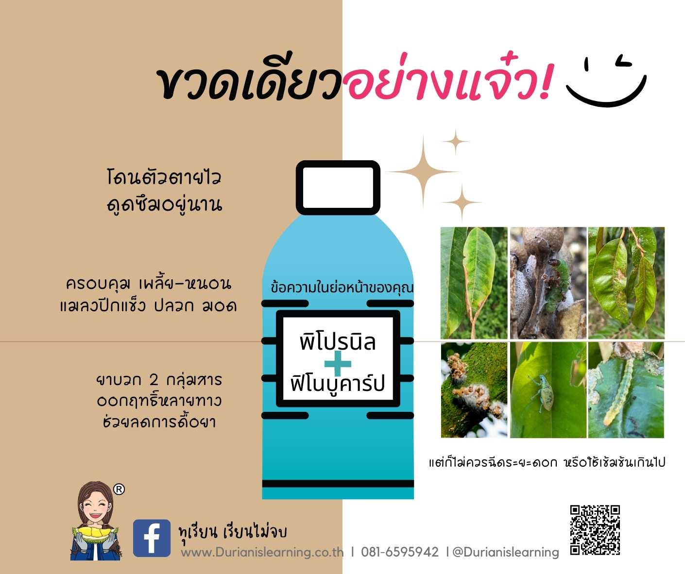 ซิดบัค พิโปรนิล+ฟิโนบูคาร์ป ยาบวก2กลุ่ม 2B+1A คลอบคลุม สัมผัสและดูดซึม เพลี้ย หนอน ลดการดื้อยา