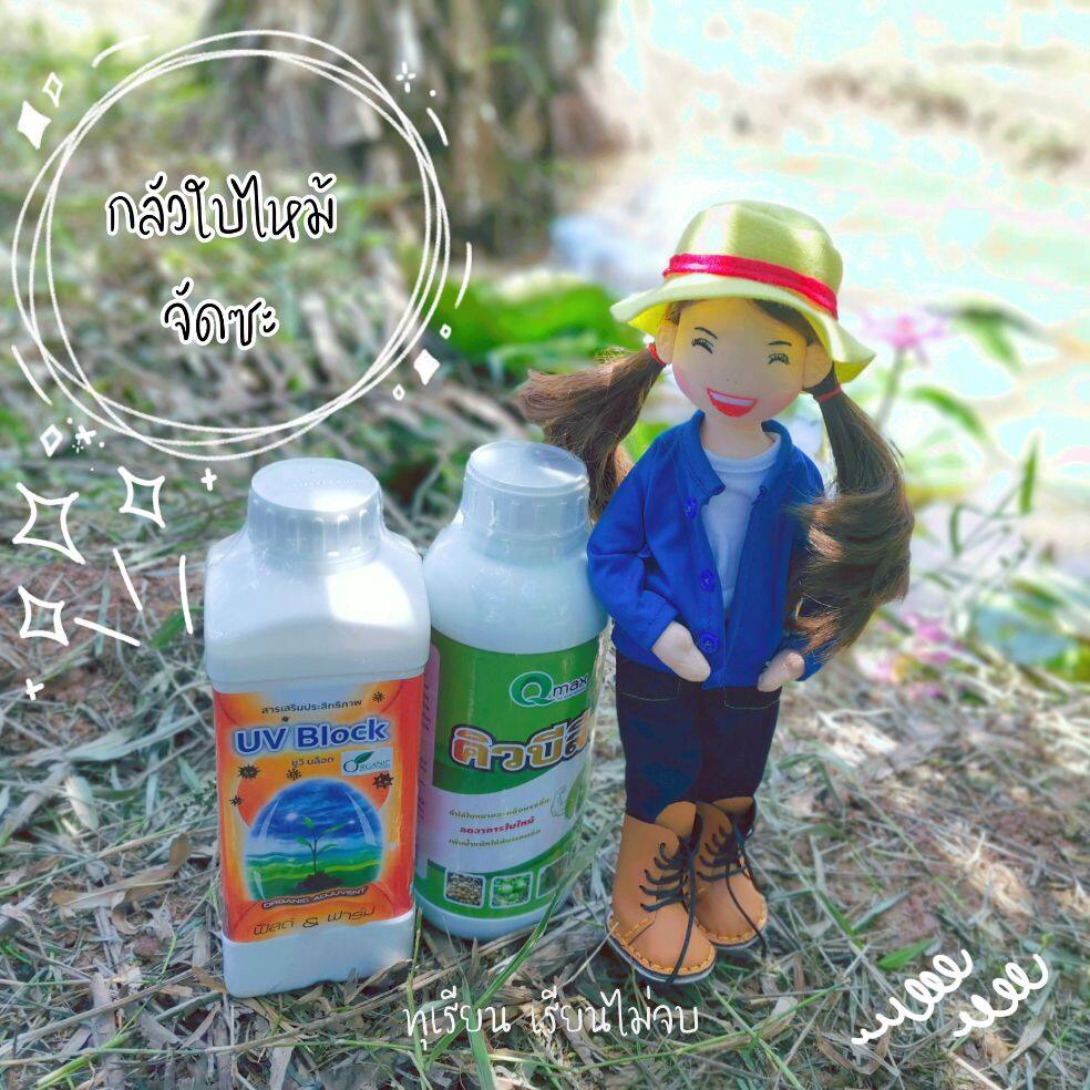ชุดป้องกันบรรเทาอาการใบไหม้ ขนาด 1000 มล. 2 ขวด