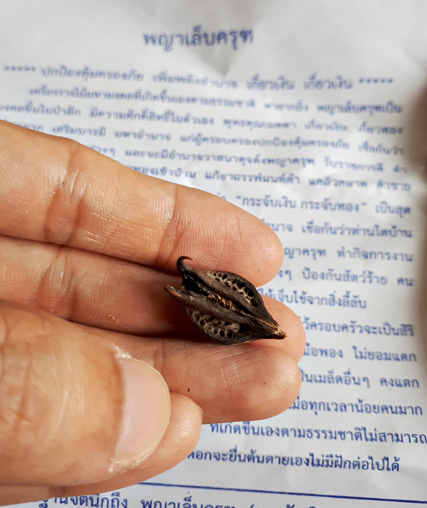 เล็บครุฑ วัตถุมงคลเครื่องราง