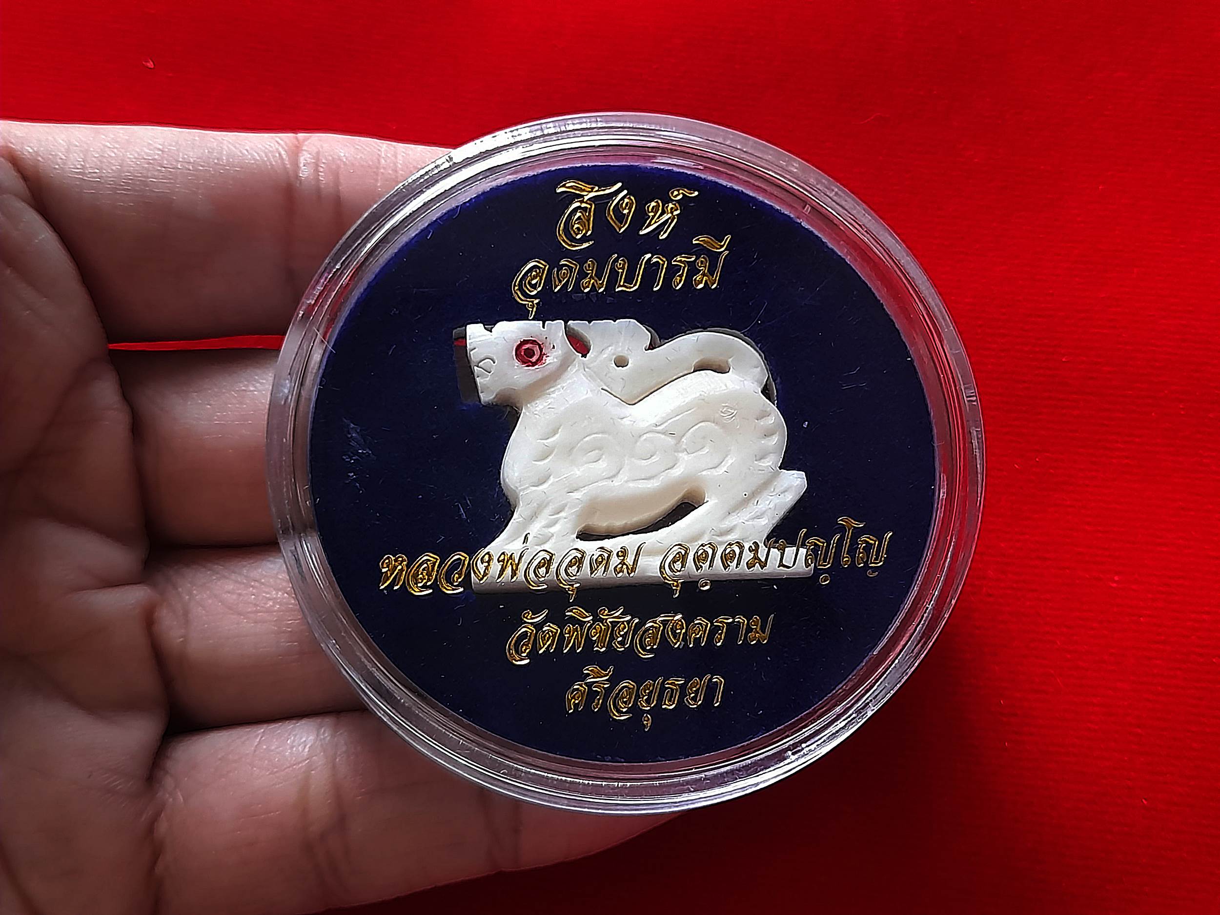 สิงห์ พิมพ์ใหญ่ เนื้อกระดูกนกกระจอกเทศ ตอกโค็ดอุ ปี2562-2563 #รับประกันแท้และทันเสก - หลวงพ่ออุดม วัดพิชัยสงคราม (หลาน อ.ก๋งจาบ สุวรรณ สายวัดประดู่ทรงธรรม)