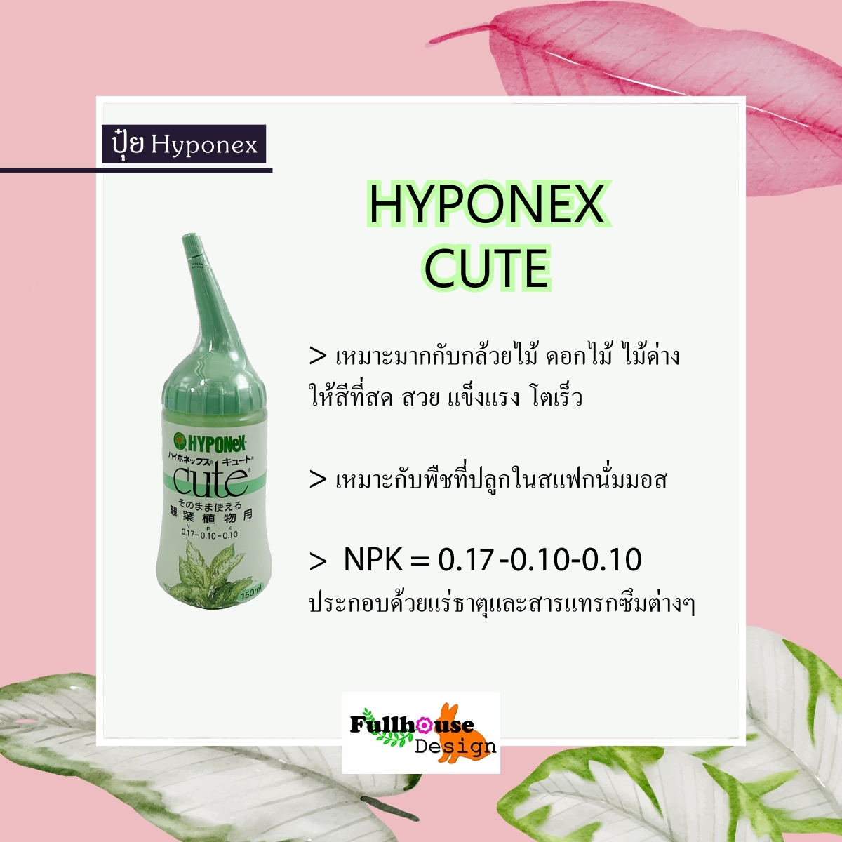 HYPONEX CUTE ปุ๋ย (ไฮโพเนกซ์) สีเขียว สำหรับ กล้วยไม้ ดอกไม้ ไม้ด่าง ให้แข็งแรง โตเร็ว สีสันสดใส ขนาด 150ml สินค้านำเข้า