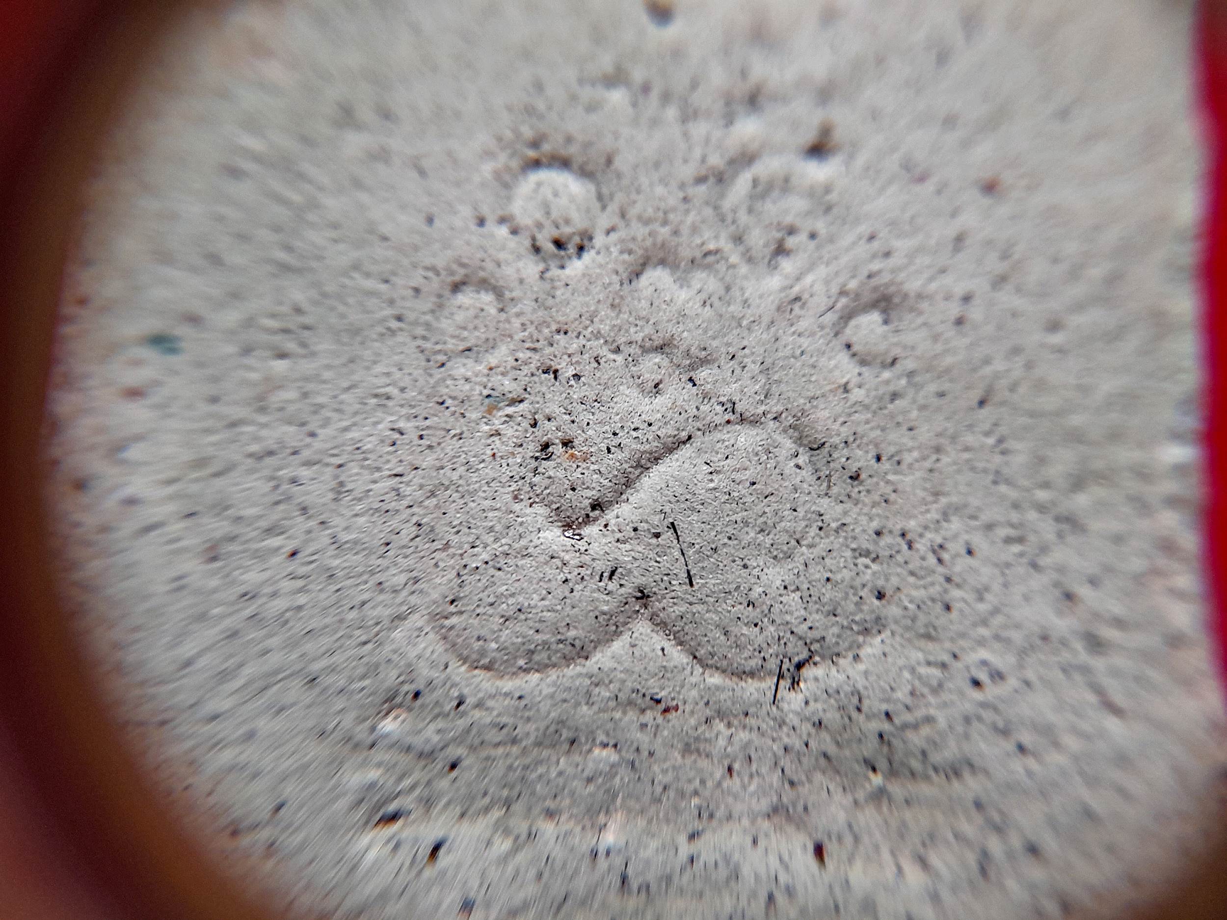 พระแหวกม่าน หลังยันต์นะพรชัย (มีเส้นผมเกศา) รุ่น2 ปี2525 (ชุดพระเครื่องที่บรรจุไห) #รับประกันแท้และทันยุค - หลวงพ่อยงยุทธ วัดเขาไม้แดง จ.ชลบุรี