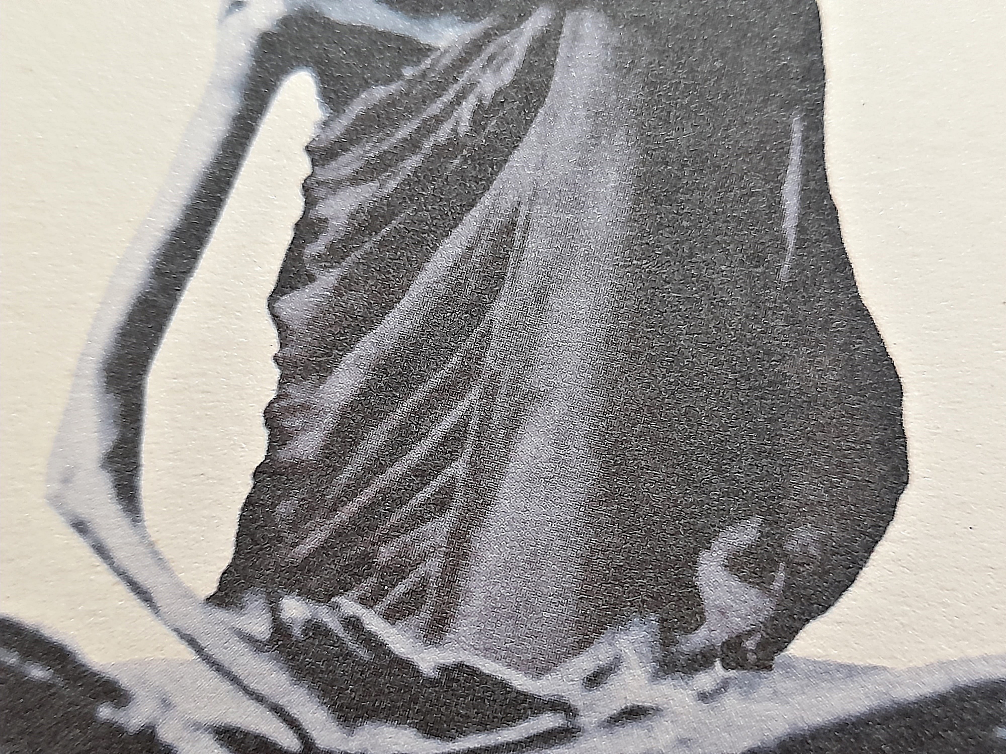 รูปภาพ หลวงปู่เดินหน อิเกสาโร(หลวงปู่เทพโลกอุดร) หลังยันต์ตรีนิสิงเห ปี2560 #รับประกันแท้ - (จัดสร้างโดย ฅนขลัง คลังวิชา)