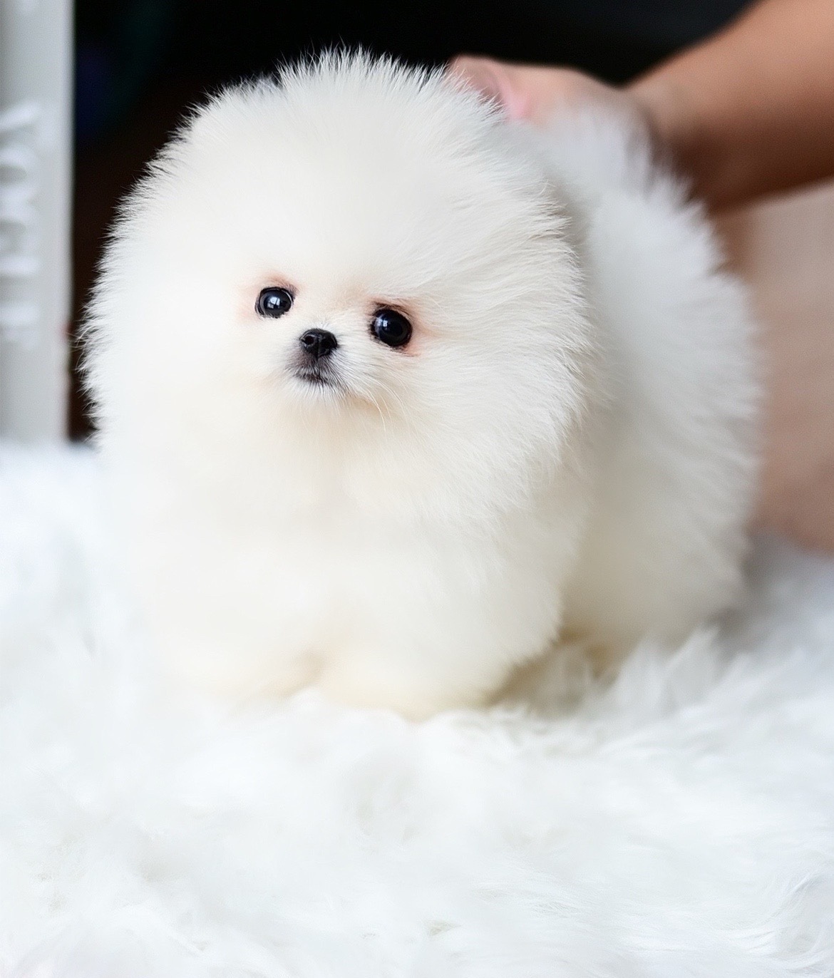 ย้ายบ้านแล้ว