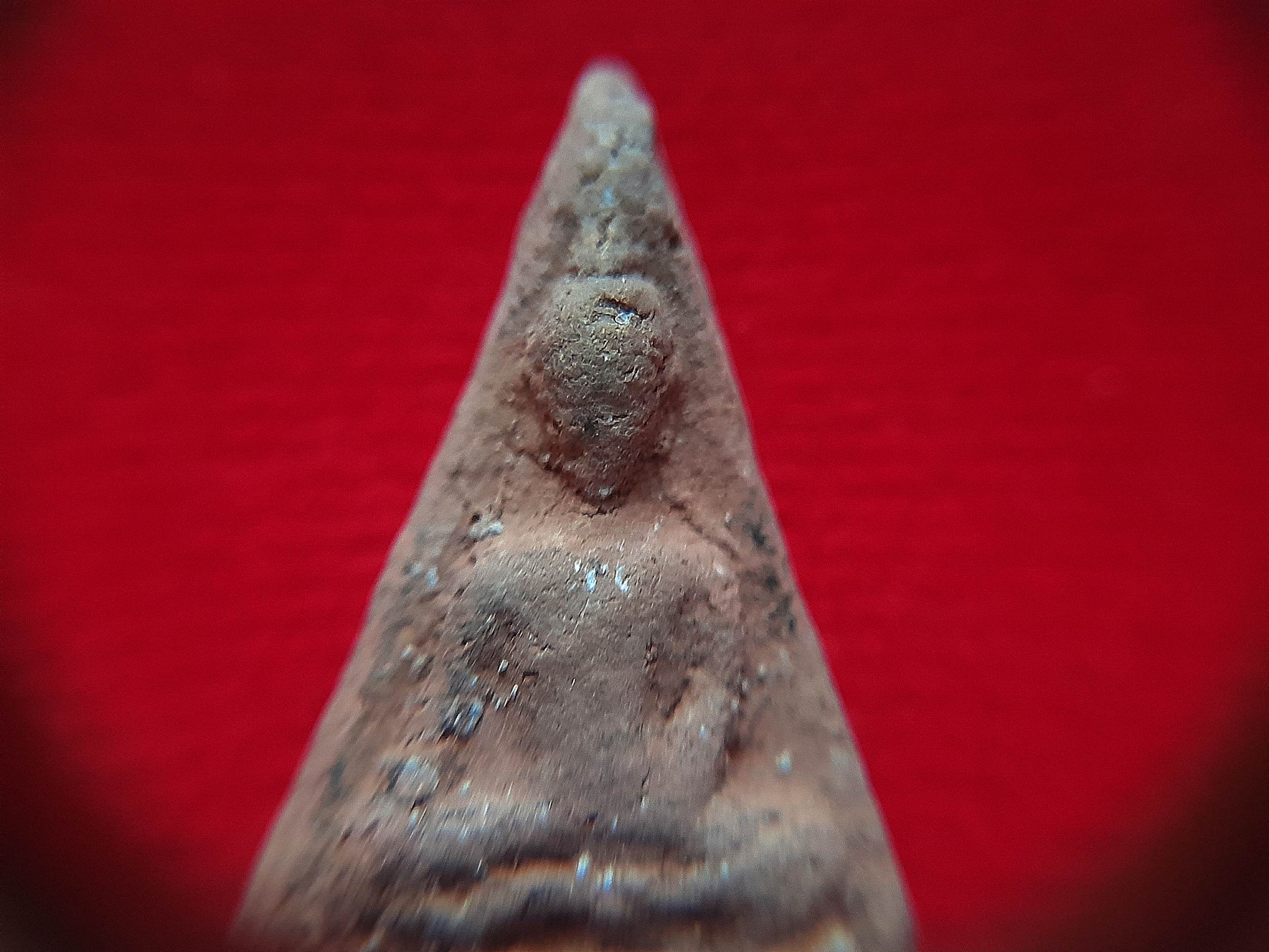 พระกรุ พระนางพญา เนื้อดินเผ่า (เรียกอัญเชิญ) #รับประกันแท้และทัน - หลวงพ่อยี วัดดงตาก้อนทอง จ.พิษณุโลก (ศิษย์หลวงปู่เทพโลกอุดร)