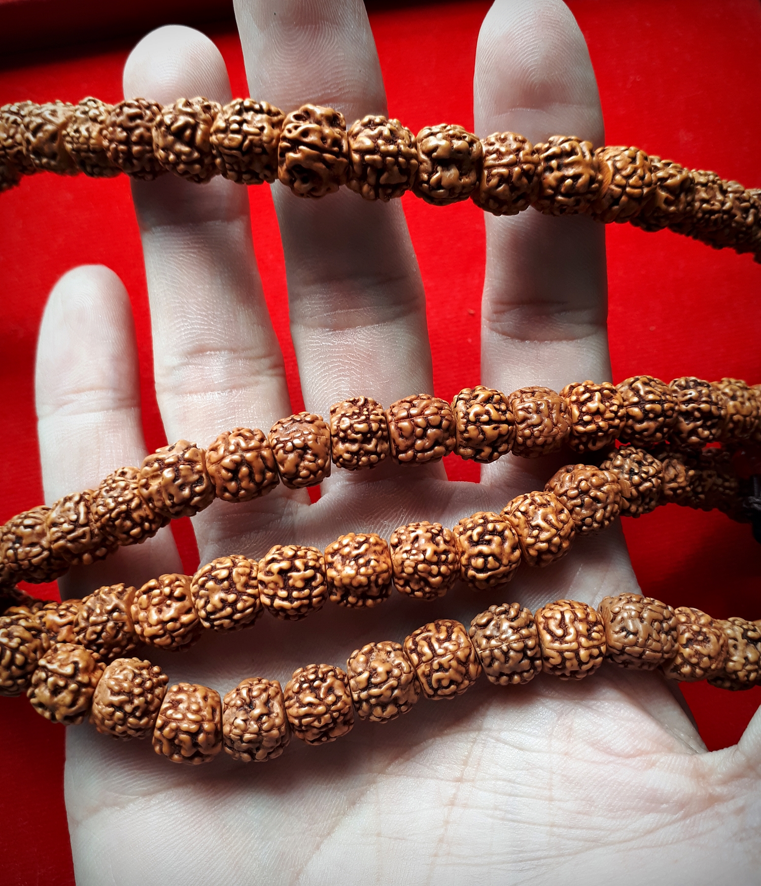 ประคํา น้ำตาพระศิวะ เมล็ดรุทรักษะ สร้อยคอ และ ข้อมือ ของแท้นำเข้าจาก อินเดีย (ขายปลีก ขายส่ง)