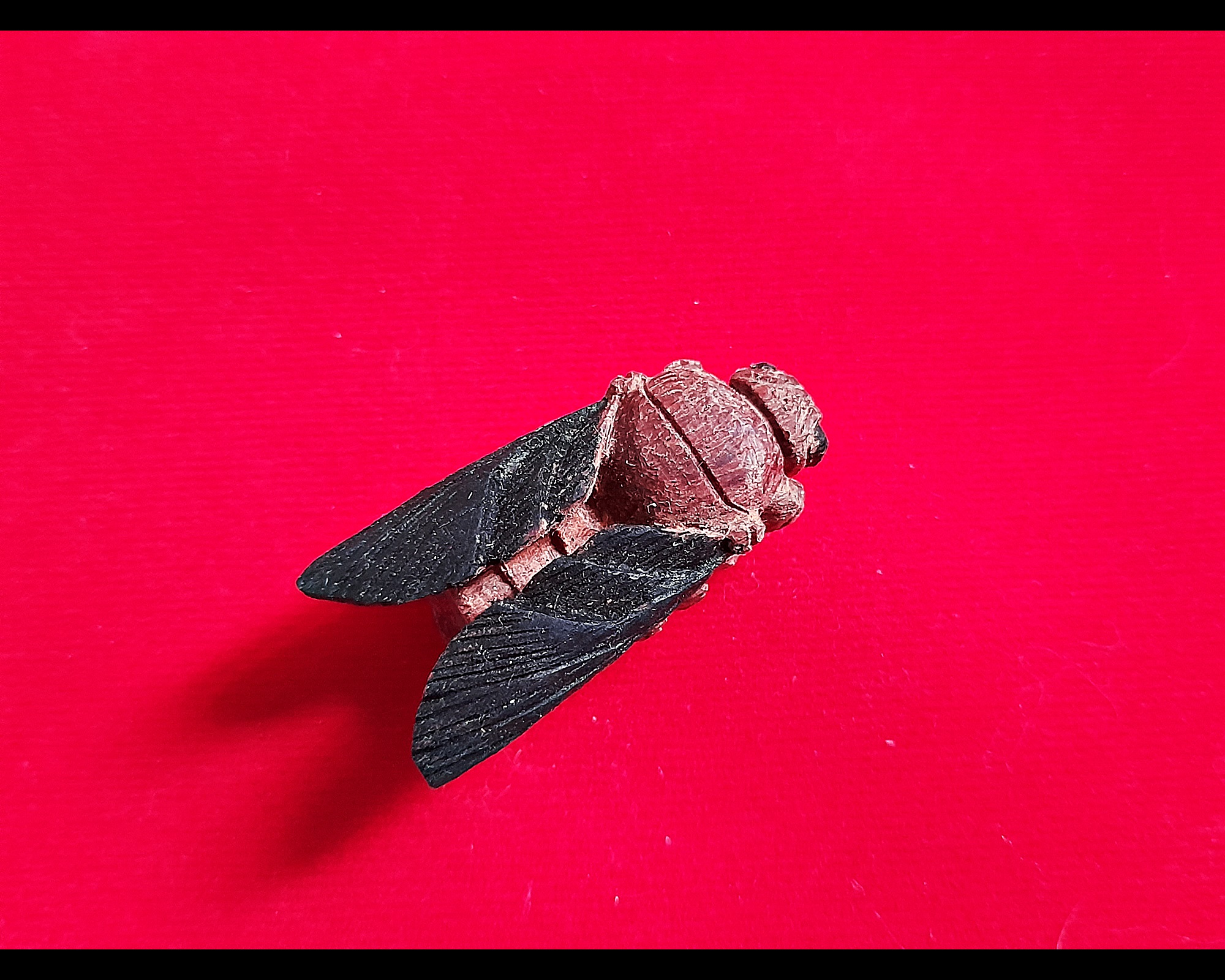 แมลงภู่ (เทพจำแลงอารักษ์) ปีกดำ #ตัวใหญ่ เนื้อไม้ดุมล้อเกวียน (งานแกะทำมือทุกขั้นตอนทีละองค์ ตามสูตรโบราณล้านนา) (ปลุกเสก3พิธี) ปี2564 #รับประกันแท้ - หลวงพ่อเล็ก วัดท่าขนุน #ปลุกเสก3พิธี