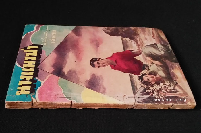 นางแมวป่า เล่มจบ **หนังสือชำรุด