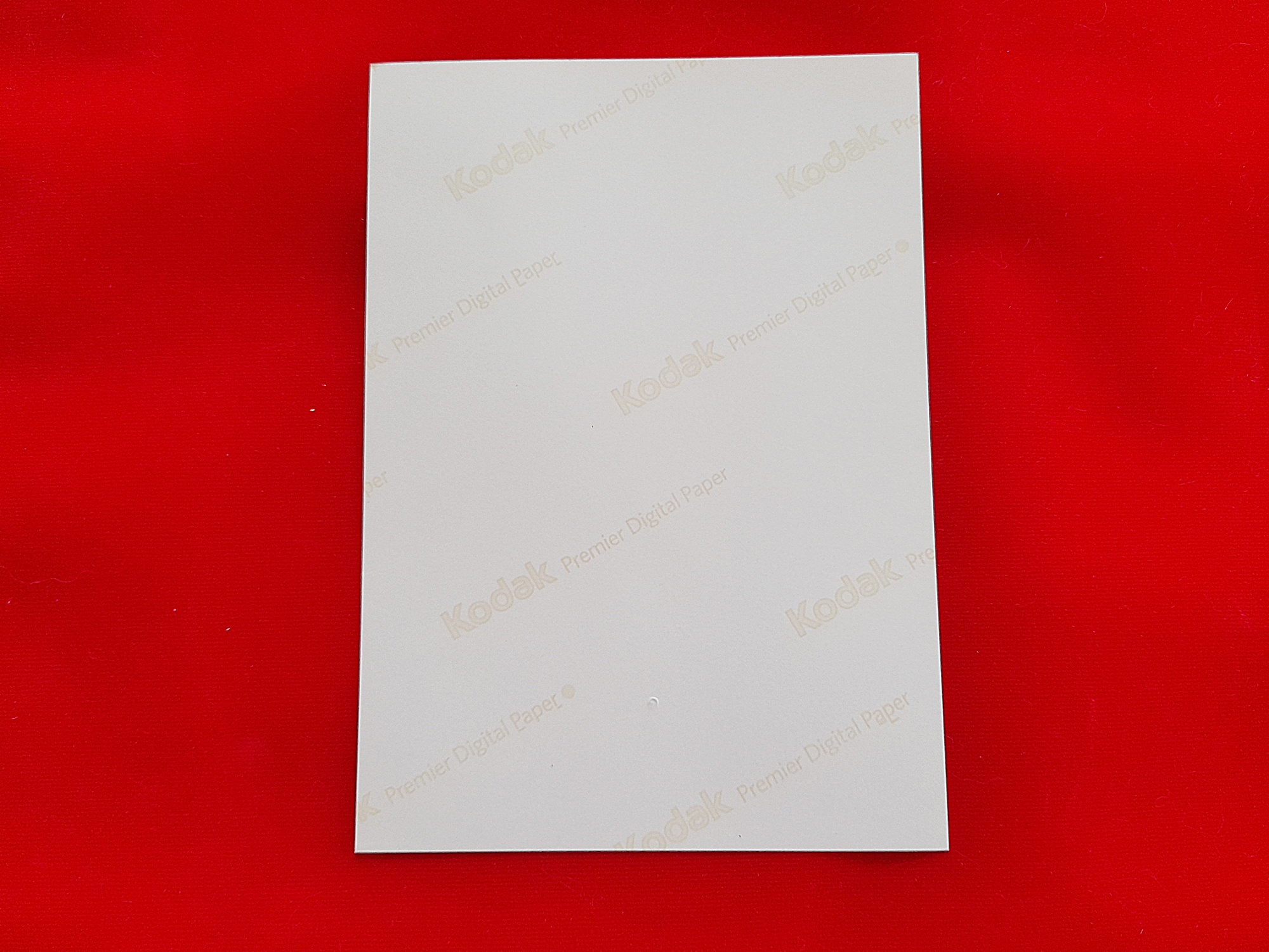 รูปภาพ ฉากทอง (ขนาดกลาง 5นิ้ว) ปี2556 #รับประกันแท้ รันเลข ตอกโค็ด ส กงจักร - พระอาจารย์สุริยัณ วัดป่าฉัพพรรณรังสี จ.ชัยภูมิ