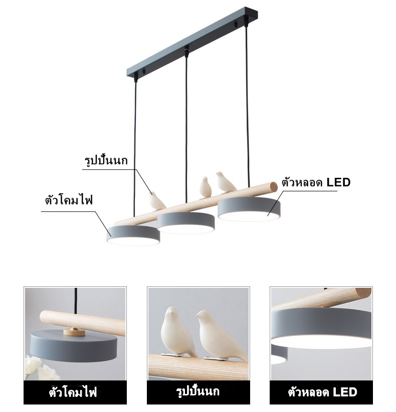 ตัวโคมไฟ และภายในโคมไฟ