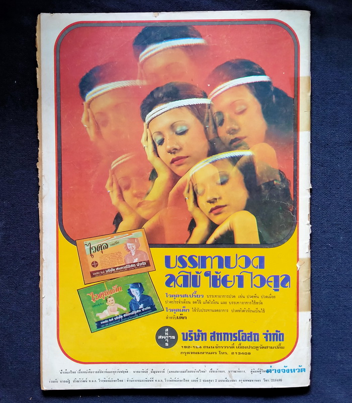 ฟ้าเมืองไทย ฉบับที่ 313