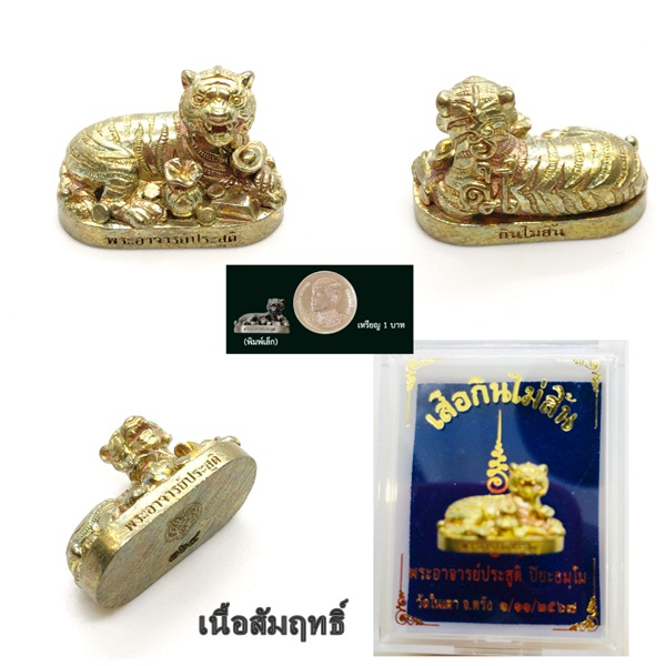 เสือกินไม่สิ้น เนื้อสัมฤทธิ์ พระอาจารย์ประสูติ วัดในเตา จังหวัดตรัง