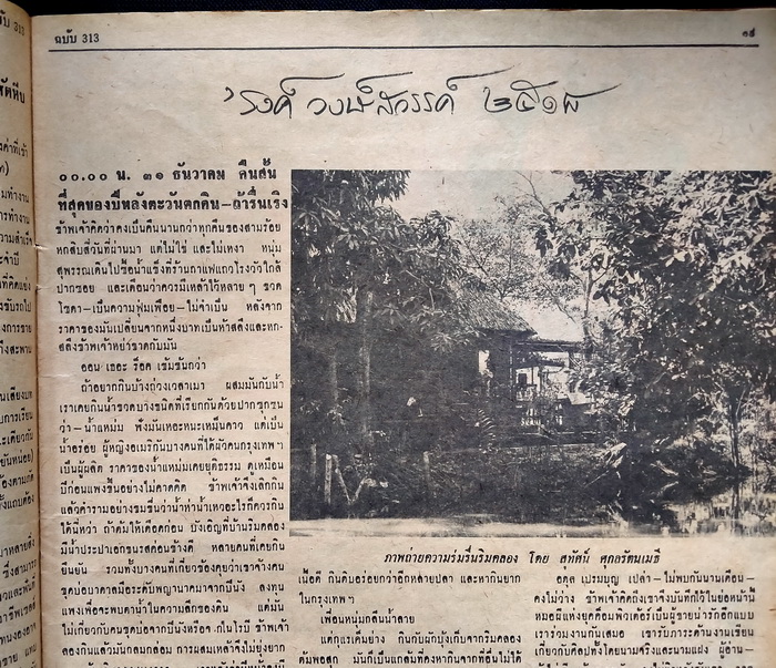 ฟ้าเมืองไทย ฉบับที่ 313