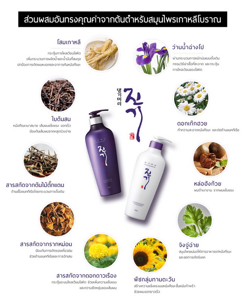 (Conditioner 500mL) Daeng Gi Meo Ri Vitalizing Conditioner 500mL ทรีทเมนต์สูตรพรีเมี่ยม อุดมไปด้วยสารสกัดจากต้นตำรับยาจากเกาหลีสูตรเข้มข้น