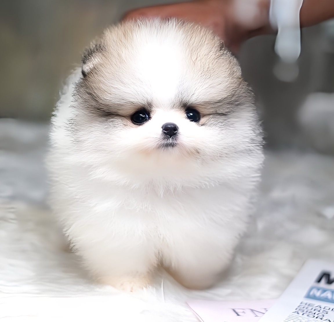 ย้ายบ้านแล้ว